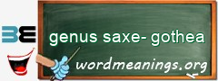 WordMeaning blackboard for genus saxe-gothea